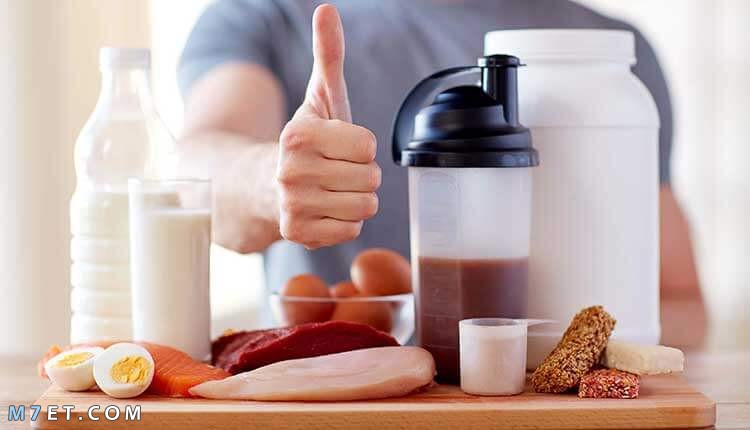The body’s need for protein and its damage when lacking it