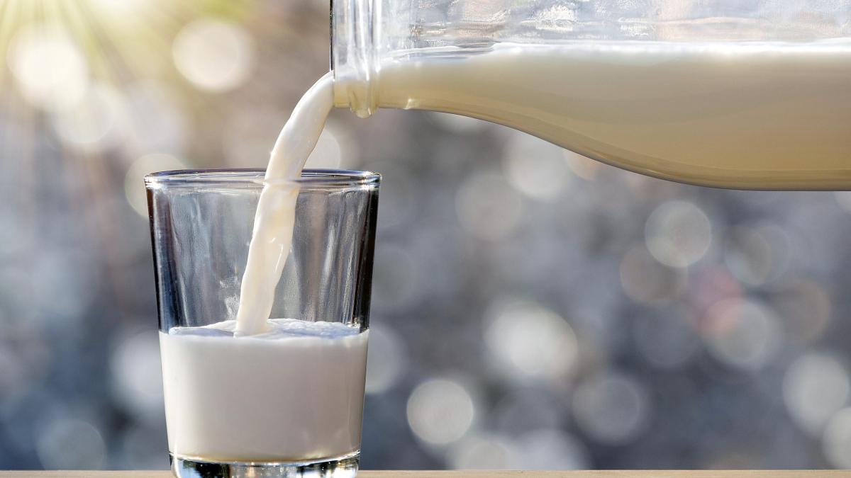 Nutrition: Germans lose their appetite for milk