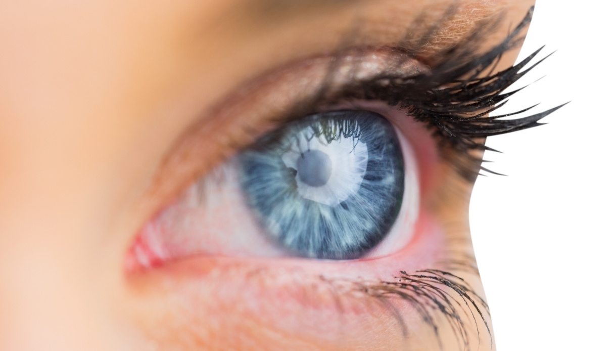 three natural active ingredients for eye health – DiLei